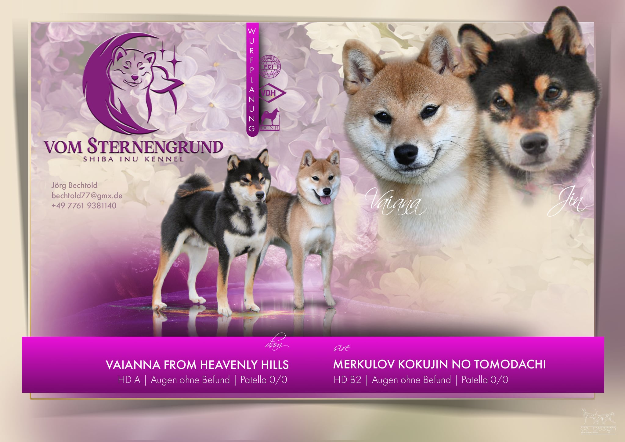 Shiba Inu Wurf Ankündigung